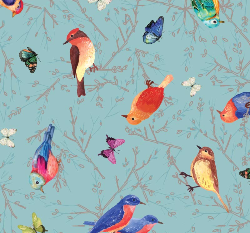 avionetas sofi barassi