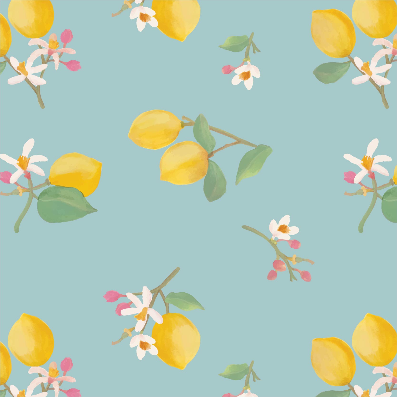 Portfolio-sofi-barassi-5