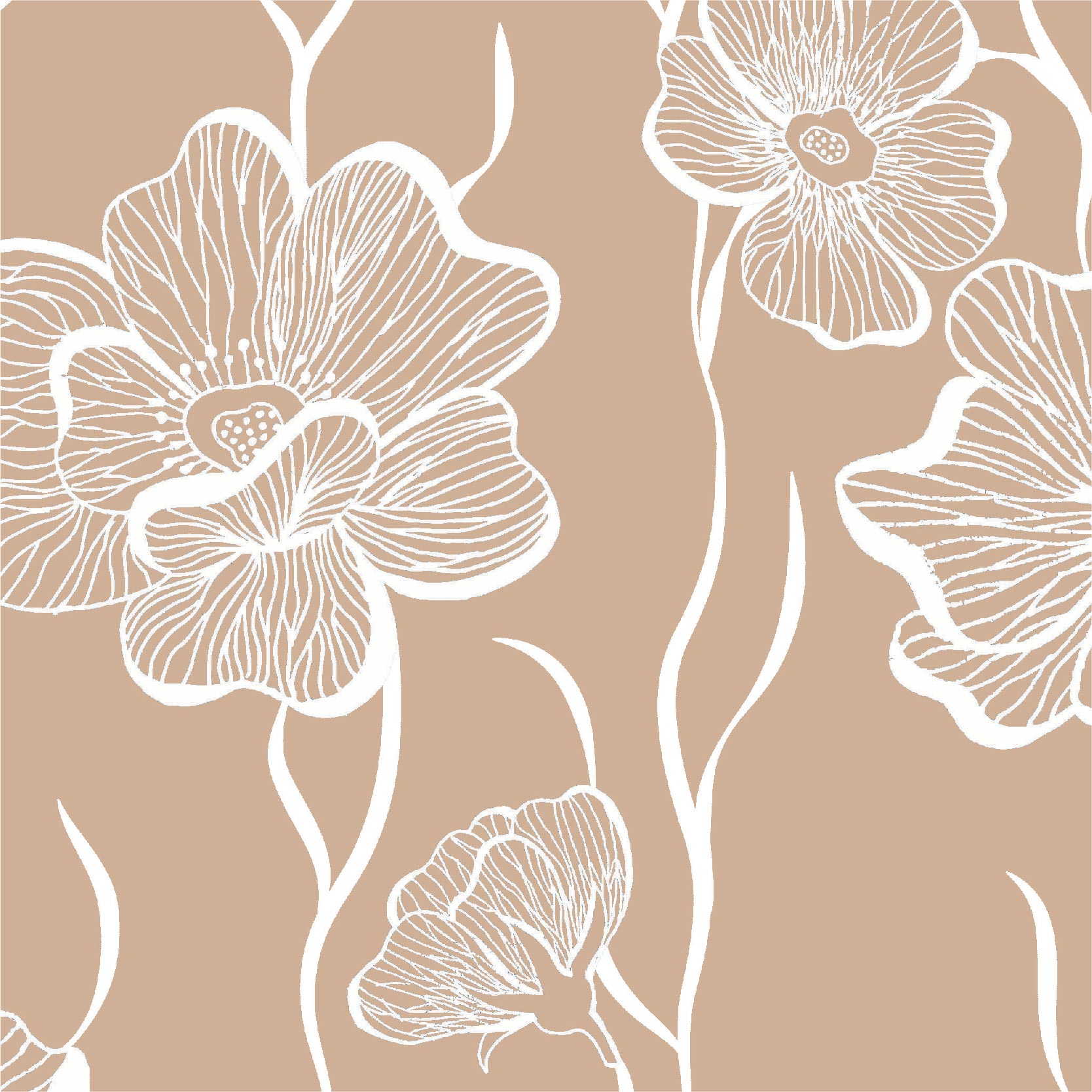 Portfolio-sofi-barassi-6