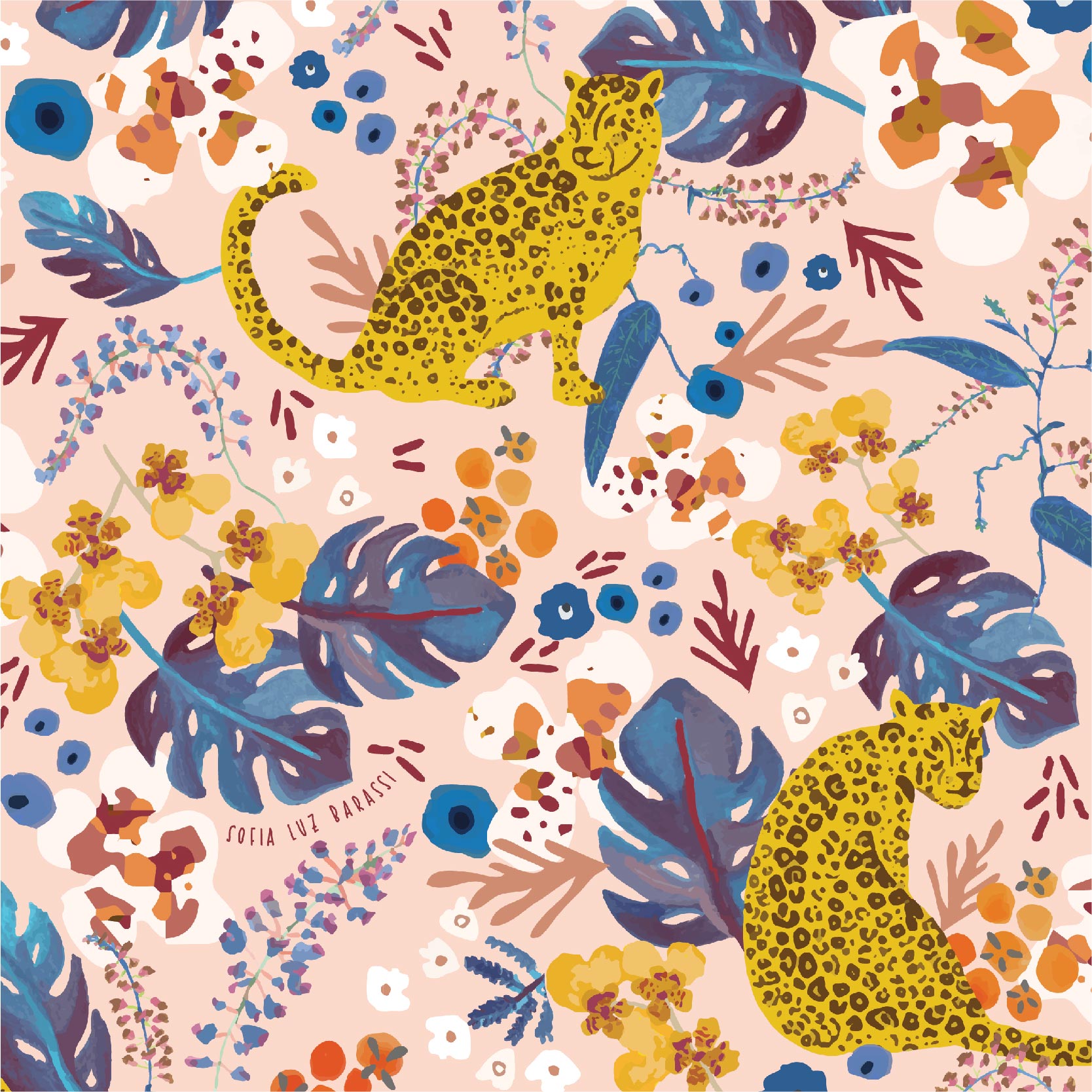 porfolio sofi barassi