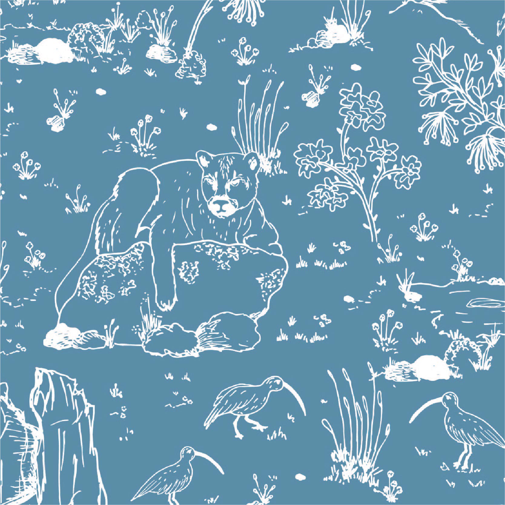 Portfolio-sofi-barssi-9