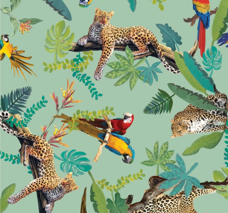 bunnies sofi barassi