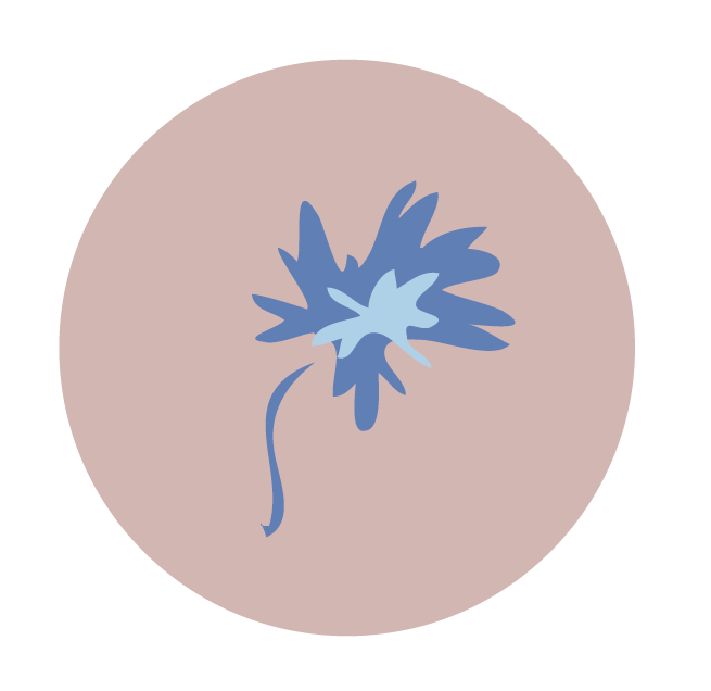 servicio-diseño-sofi-barassi