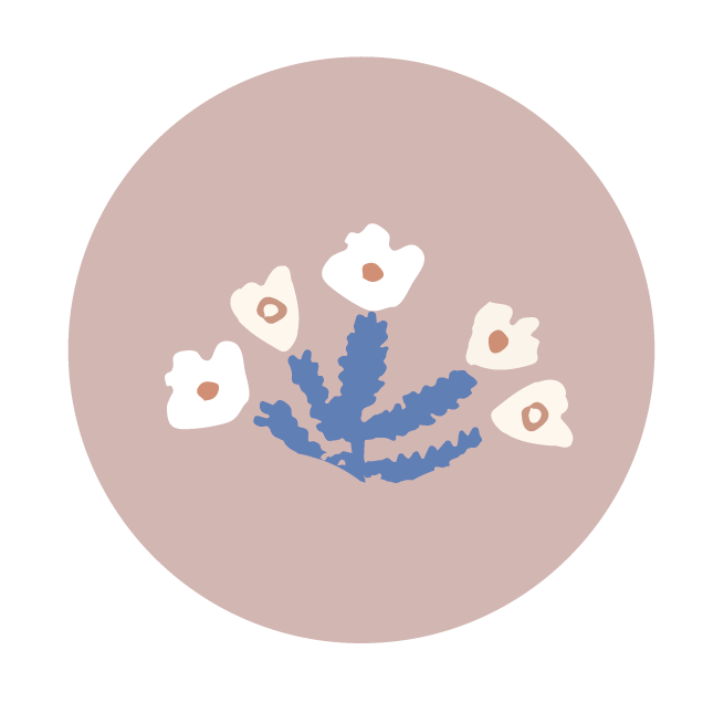 servicio-ilustracion-sofi-barassi